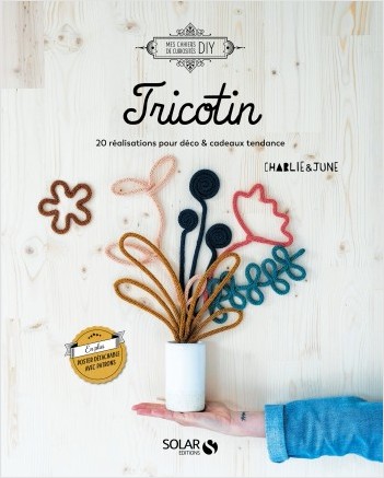 Tricotin : des idées faciles à réaliser